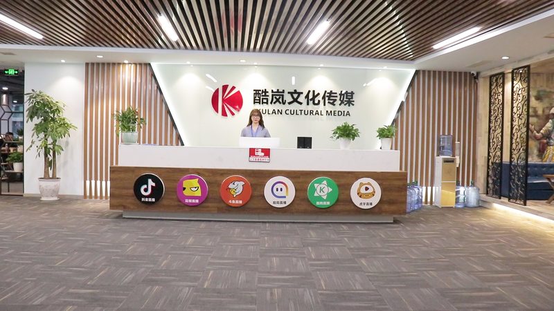 品牌策划公司收费标准揭秘：如何合理评估与选择